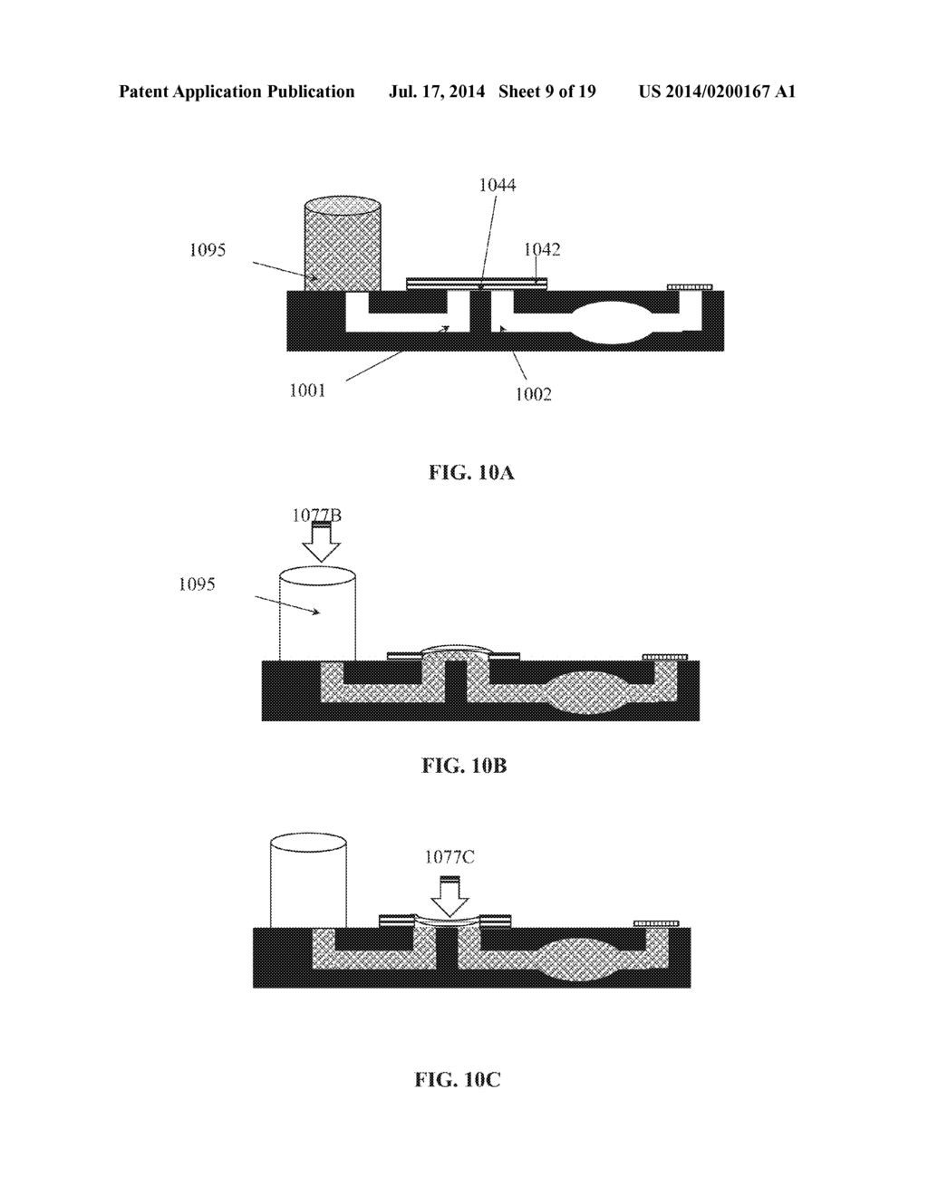 FUNCTIONALLY INTEGRATED DEVICE FOR MULTIPLEX GENETIC IDENTIFICATION - diagram, schematic, and image 10