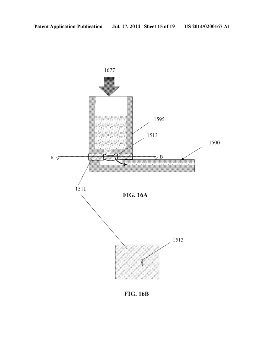 FUNCTIONALLY INTEGRATED DEVICE FOR MULTIPLEX GENETIC IDENTIFICATION - diagram, schematic, and image 16