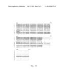 Alpha-Amylase Mutants diagram and image