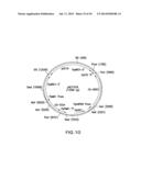 METHOD FOR PRODUCING PROTEINS IN PICHIA PASTORIS THAT LACK DETECTABLE     CROSS BINDING ACTIVITY TO ANTIBODIES AGAINST HOST CELL ANTIGENS diagram and image