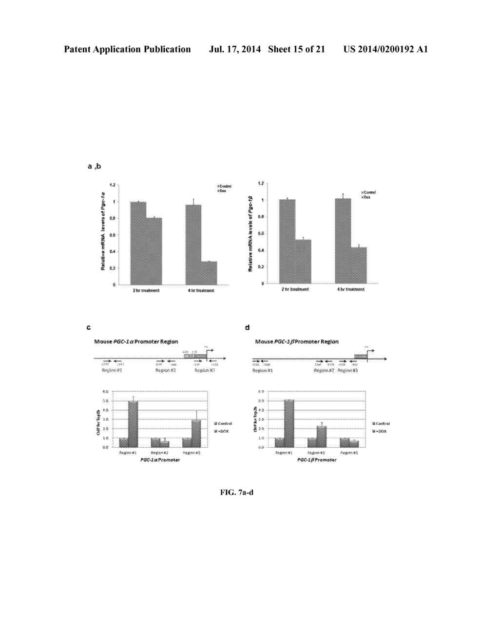 TOPOISOMERASE 2B AS A PREDICTOR OF SUSCEPTIBILITY TO ANTHRACYCLINE-INDUCED     CARDIOTOXICITY - diagram, schematic, and image 16