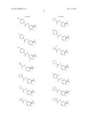 2-SPIRO-SUBSTITUTED IMINOTHIAZINES AND THEIR MONO-AND DIOXIDES AS BACE     INHIBITORS, COMPOSITIONS AND THEIR USE diagram and image