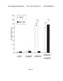 Combination of a Statin and a Taxane for the Treatment of Gastric Cancer diagram and image