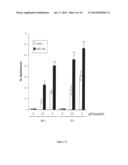 Combination of a Statin and a Taxane for the Treatment of Gastric Cancer diagram and image