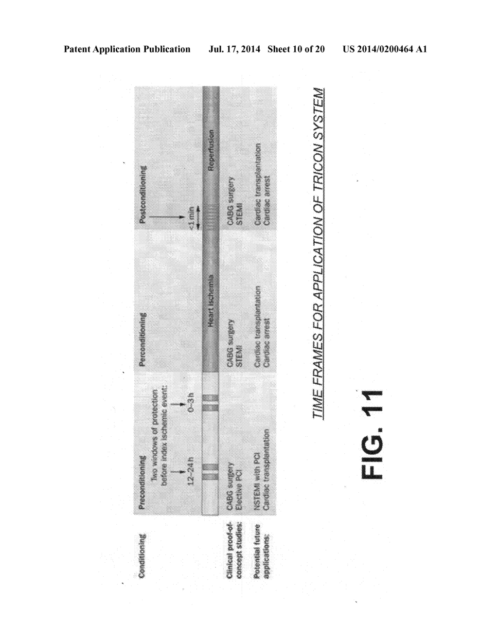 PATIENT TEMPERATURE CHANGE COMBINED WITH REMOTE ISCHEMIC CONDITIONING - diagram, schematic, and image 11