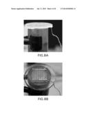 SYSTEMS, METHODS AND MACHINE READABLE PROGRAMS FOR ELECTRIC FIELD AND/OR     PLASMA-ASSISTED ONYCHOMYCOSIS TREATMENT diagram and image