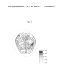 SELF-DIRECTED REHABILITATION TRAINING METHOD COMBINING BRAIN SIGNALS AND     FUNCTIONAL ELECTROSTIMULATION diagram and image