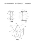 PARARENAL STENT GRAFT diagram and image