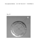 ANCHORING ELEMENTS FOR INTRACARDIAC DEVICES diagram and image