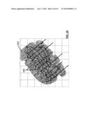 Identifying Reservoir Drainage Patterns From Microseismic Data diagram and image