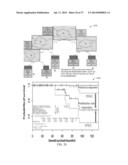 K-PARTITE GRAPH BASED FORMALISM FOR CHARACTERIZATION OF COMPLEX PHENOTYPES     IN CLINICAL DATA ANALYSES AND DISEASE OUTCOME PROGNOSIS diagram and image