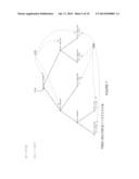 VASCULAR FLOW ASSESSMENT diagram and image