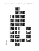 LOCATION-BASED COMMUNICATION AND INTERACTION SYSTEM diagram and image