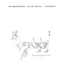 APPARATUS WITH ELLIPTICAL MOVEMENT FOR MICRODERMABRASION AND TOPICAL     DELIVERY OF TREATMENTS diagram and image