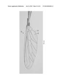 Monolithic Fabrication of Three-Dimensional Structures diagram and image