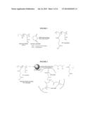 NANOGELS FOR DELAYED GELATION diagram and image