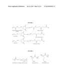 NANOGELS FOR DELAYED GELATION diagram and image