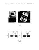 DEVICE AND SINGLE-MOLECULE ANALYSIS METHOD BY MEANS OF DETECTION OF THE     COLLISIONS OF A TARGET MOLECULE ON FUNCTIONALIZED NANOPORES diagram and image