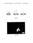 DEVICE AND SINGLE-MOLECULE ANALYSIS METHOD BY MEANS OF DETECTION OF THE     COLLISIONS OF A TARGET MOLECULE ON FUNCTIONALIZED NANOPORES diagram and image