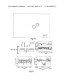 DEVICE AND SINGLE-MOLECULE ANALYSIS METHOD BY MEANS OF DETECTION OF THE     COLLISIONS OF A TARGET MOLECULE ON FUNCTIONALIZED NANOPORES diagram and image