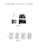 DEVICE AND SINGLE-MOLECULE ANALYSIS METHOD BY MEANS OF DETECTION OF THE     COLLISIONS OF A TARGET MOLECULE ON FUNCTIONALIZED NANOPORES diagram and image