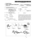 SUSTAINED SILVER RELEASE COMPOSITION FOR WATER PURIFICATION diagram and image