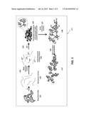 SUSTAINED SILVER RELEASE COMPOSITION FOR WATER PURIFICATION diagram and image