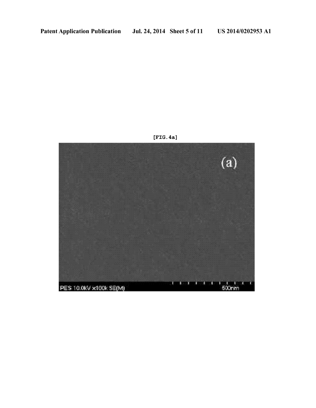 Multilayer Membrane Containing Carbon Nanotube Manufactured by     Layer-By-Layer Assembly Method - diagram, schematic, and image 06