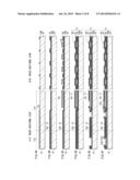 DISPLAY PANEL AND DISPLAY DEVICE diagram and image