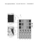 MAGNETIC SENSOR CALIBRATION AND SERVO FOR PLANAR MOTOR STAGE diagram and image