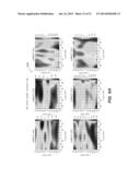 MAGNETIC SENSOR CALIBRATION AND SERVO FOR PLANAR MOTOR STAGE diagram and image