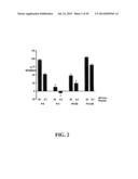 MULTIVALENT CONSTRUCTS FOR THERAPEUTIC AND DIAGNOSTIC APPLICATIONS diagram and image