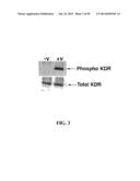 MULTIVALENT CONSTRUCTS FOR THERAPEUTIC AND DIAGNOSTIC APPLICATIONS diagram and image