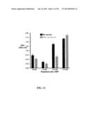 MULTIVALENT CONSTRUCTS FOR THERAPEUTIC AND DIAGNOSTIC APPLICATIONS diagram and image