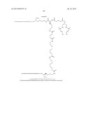 MULTIVALENT CONSTRUCTS FOR THERAPEUTIC AND DIAGNOSTIC APPLICATIONS diagram and image