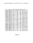 MULTIVALENT CONSTRUCTS FOR THERAPEUTIC AND DIAGNOSTIC APPLICATIONS diagram and image