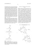 MULTIVALENT CONSTRUCTS FOR THERAPEUTIC AND DIAGNOSTIC APPLICATIONS diagram and image