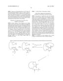 MULTIVALENT CONSTRUCTS FOR THERAPEUTIC AND DIAGNOSTIC APPLICATIONS diagram and image