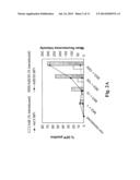 METHODS AND COMPOSITIONS FOR INCREASED TRANSGENE EXPRESSION diagram and image