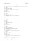 METHODS AND COMPOSITIONS FOR INCREASED TRANSGENE EXPRESSION diagram and image