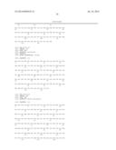 ANTI-FOLR1 ANTIBODY diagram and image