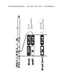 ENGINEERED RESPIRATORY SYNCYTIAL VIRUSES WITH CONTROL OF CELL-TO-CELL     VIRUS TRANSMISSION FOR ENHANCED SAFETY OF LIVE VIRUS VACCINES diagram and image