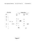 TC-83-DERIVED ALPHAVIRUS VECTORS, PARTICLES AND METHODS diagram and image