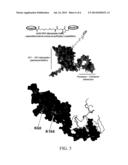 DOWN REGULATION OF THE GENE EXPRESSION BY MEANS OF NUCLEIC ACID-LOADED     VIRUS-LIKE PARTICLES diagram and image