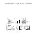 OLIGOOXOPIPERAZINES FOR p53 REACTIVATION diagram and image