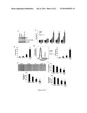 OLIGOOXOPIPERAZINES FOR p53 REACTIVATION diagram and image