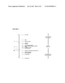 Elastomeric Coatings Having Hydrophobic and/or Oleophobic Properties diagram and image