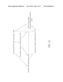 SEQUENCE AMPLIFICATION WITH LINEAR PRIMERS diagram and image