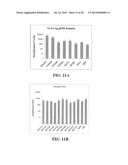 SEQUENCE AMPLIFICATION WITH LINEAR PRIMERS diagram and image