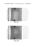 SEQUENCE AMPLIFICATION WITH LINEAR PRIMERS diagram and image